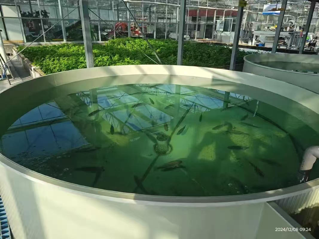 1765728996110565.jpg mmexport1765728966811.jpg